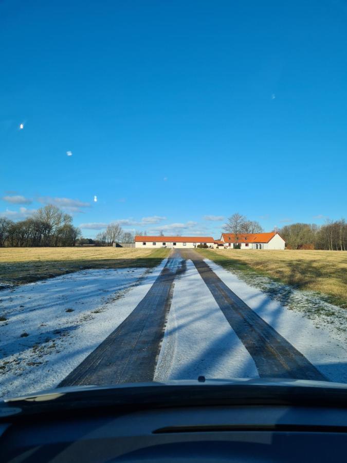 Lovely Room, Easy Access To E45 Highway Rask Molle Exteriör bild