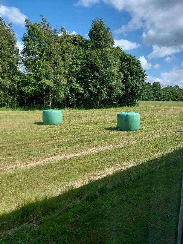 Lovely Room, Easy Access To E45 Highway Rask Molle Exteriör bild