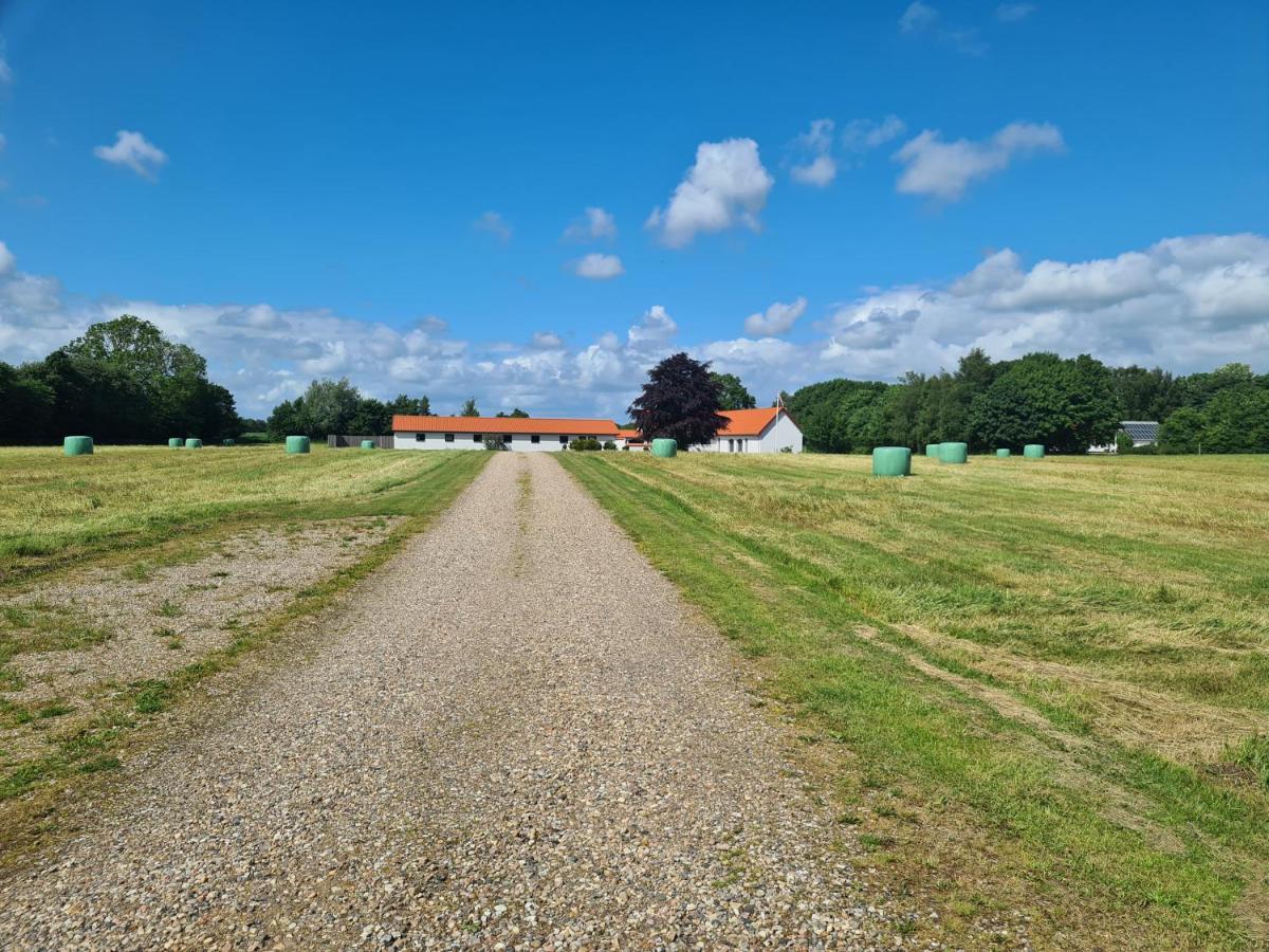 Lovely Room, Easy Access To E45 Highway Rask Molle Exteriör bild
